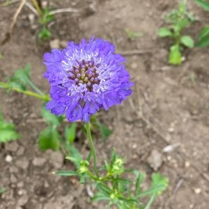 Meet your Posher, Katya